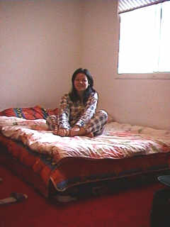 ˯è3.jpg (8857 bytes)